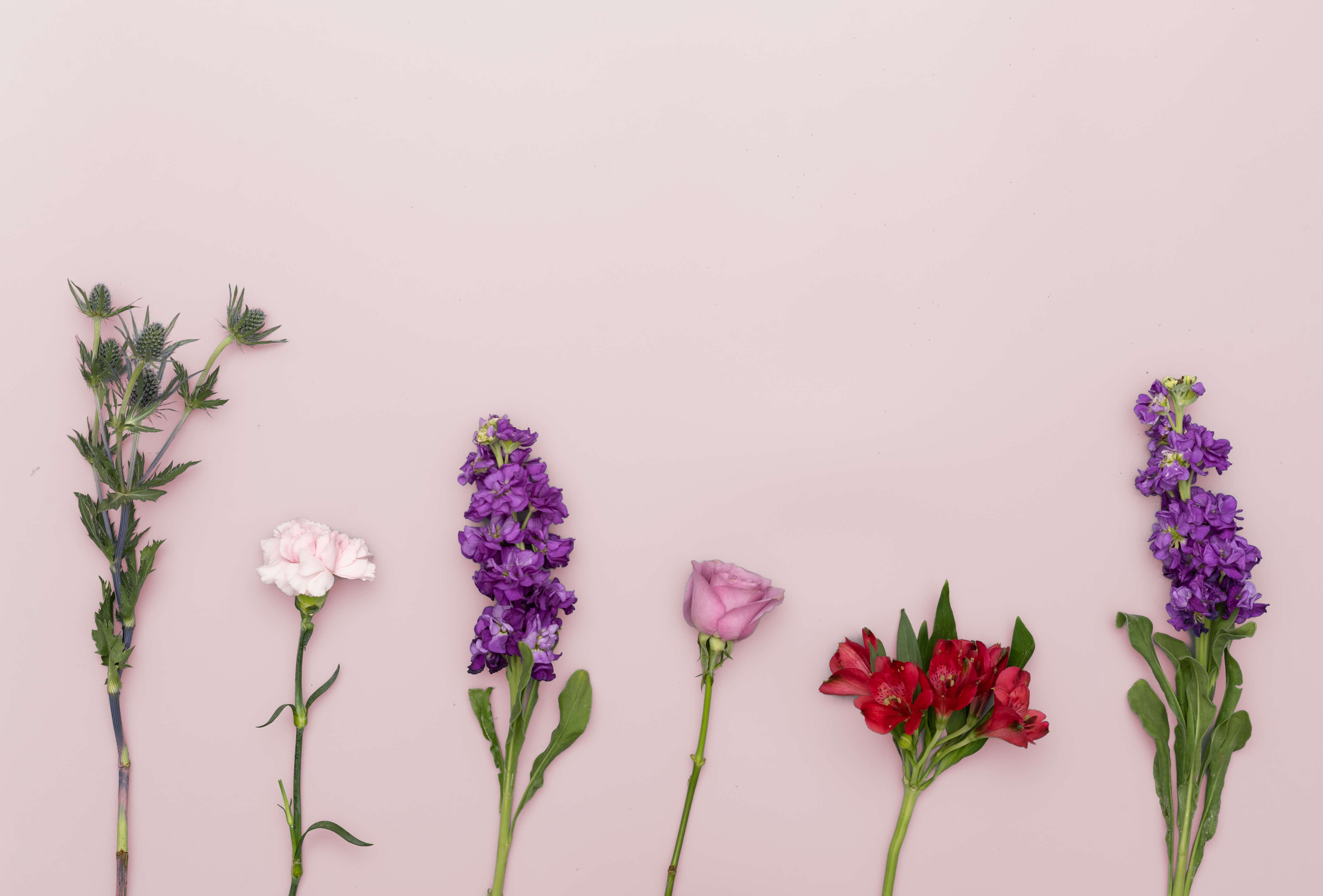 Spring Refresh Bodycare